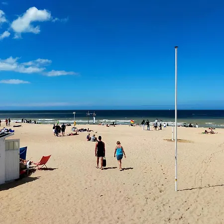 Cozy In With Wifi * Ostende