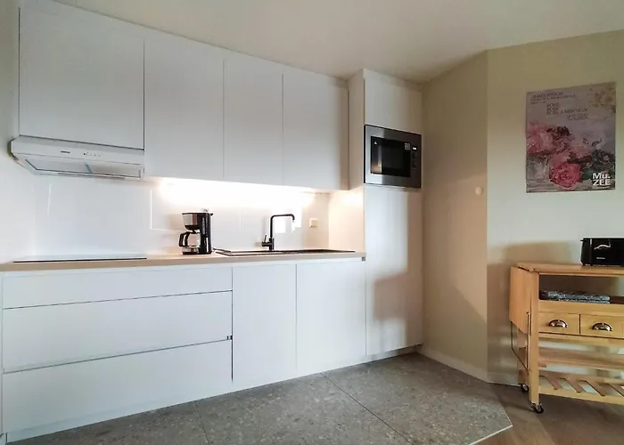 Lägenhet Cozy In With Wifi Oostende